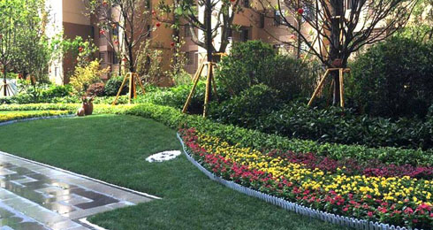 园林绿化施工浅谈树下树的栽培养护方式