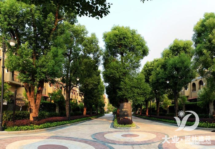 广州中信香樟别墅