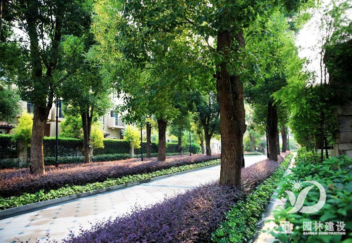 广州中信香樟别墅