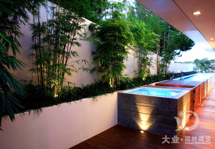 现代风格别墅小庭院