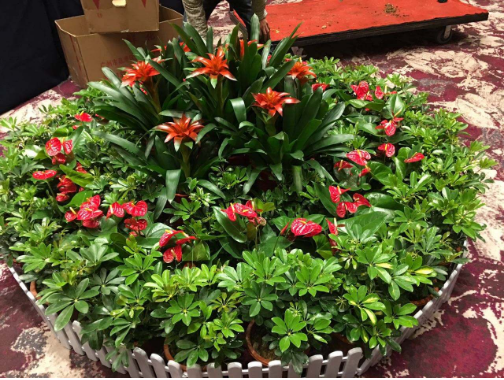 秋季园林绿化养护管理