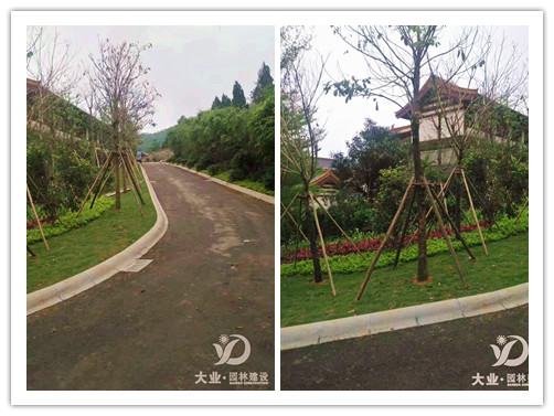 园林绿化养护的标准(一)