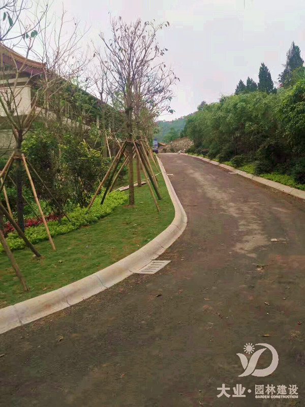 校园园林绿化养护应该如何做?