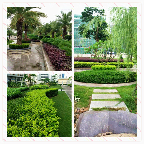 园林绿化养护需要什么资质