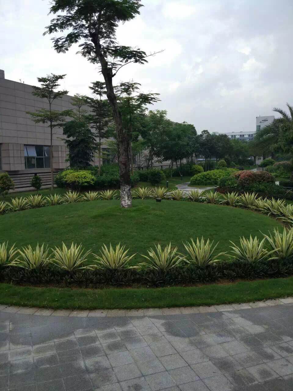 美好的景观园林绿化，不同的生活体验!