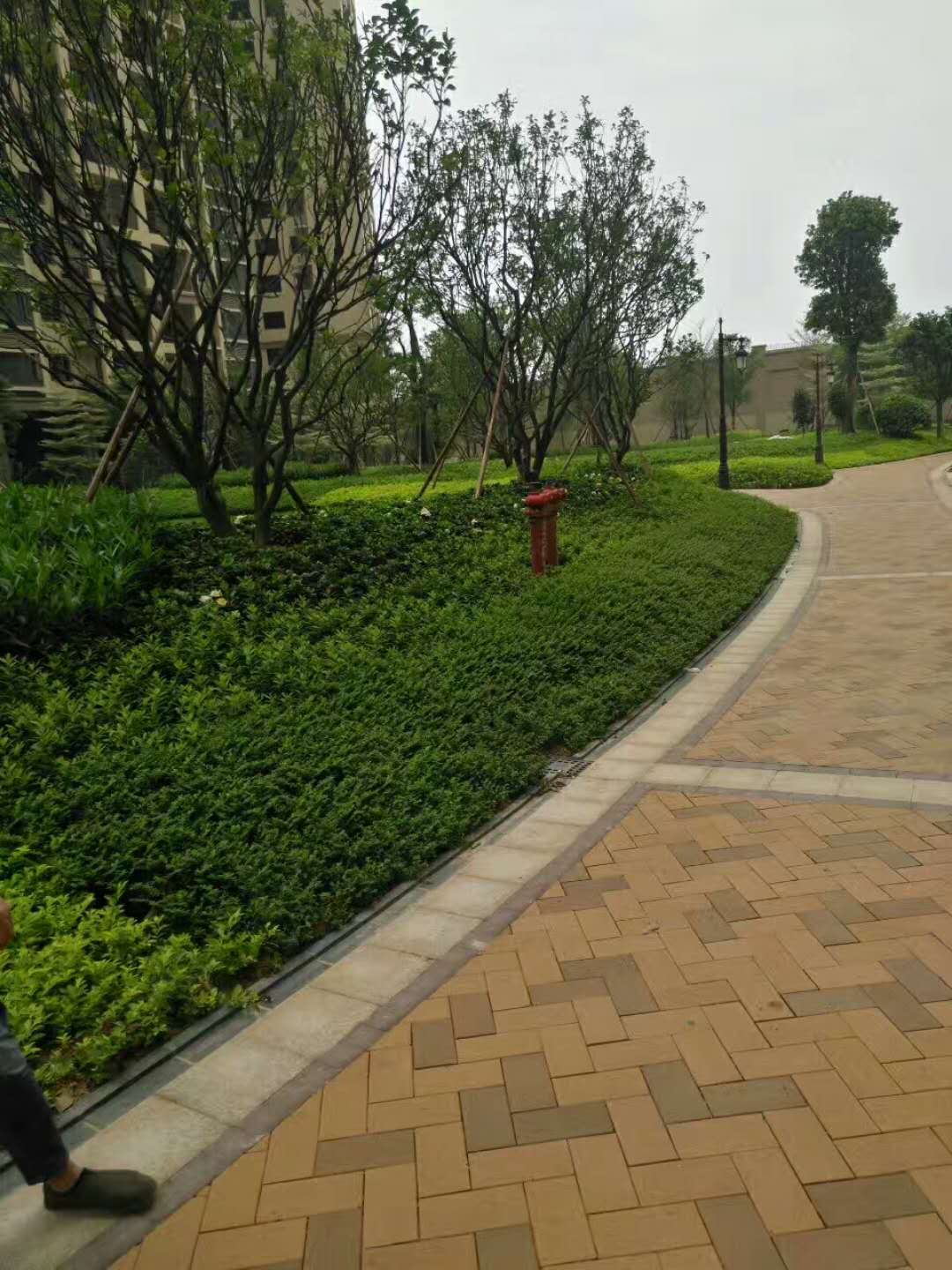 中国园林是如何蜕变的呢?