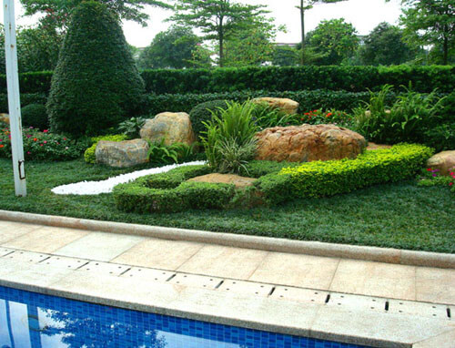 在裁种绿植时应该注意哪些问题呢?