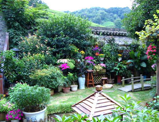 园林植物种植设计的原则是什么?