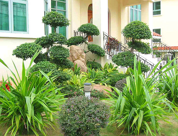 园林绿化植物的种植设计原则是什么呢?