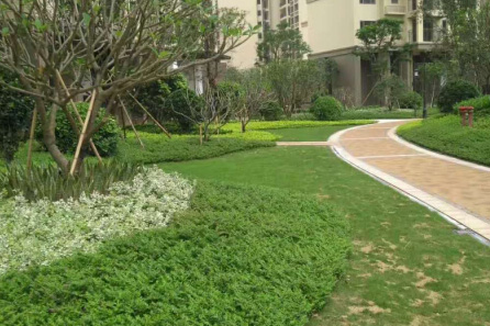 园林绿化设计中铺装的几个表现要素！