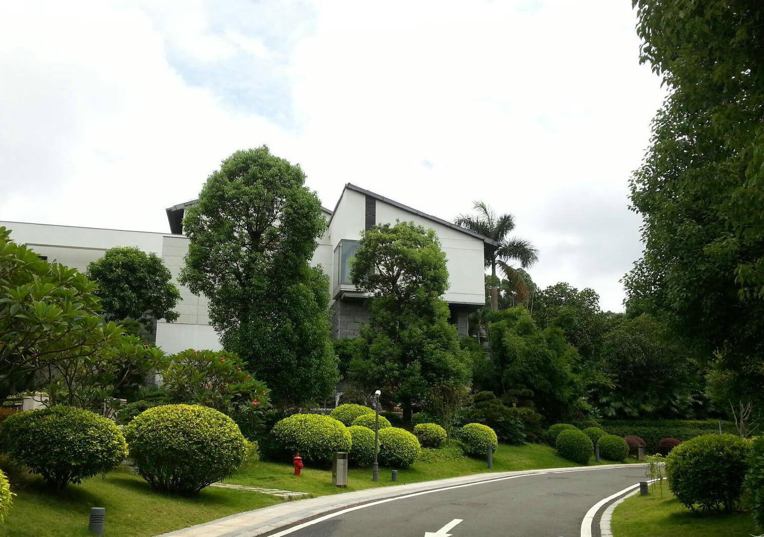 为什么要进行园林绿化养护呢？