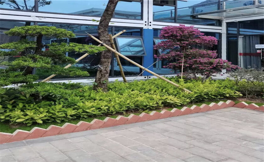 哈尔滨工业大学（深圳）