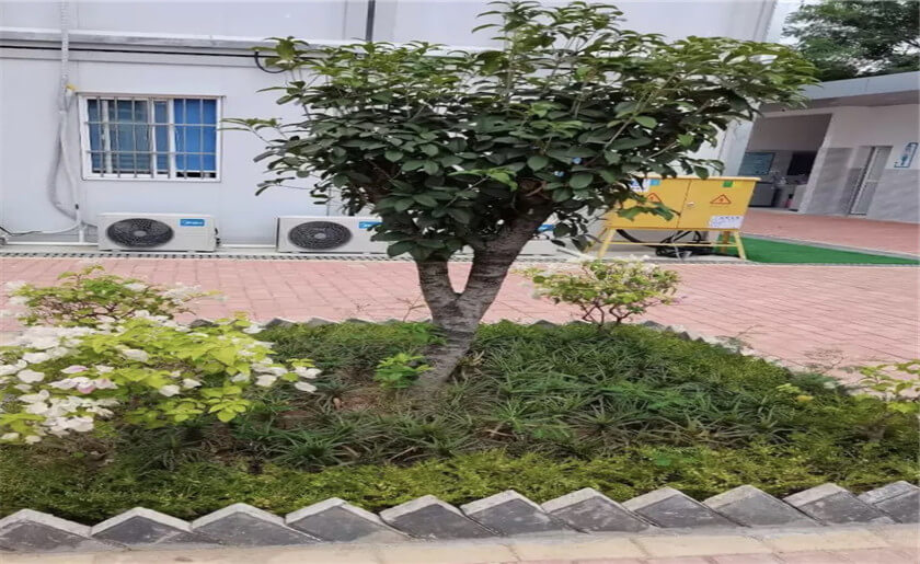 哈尔滨工业大学（深圳）