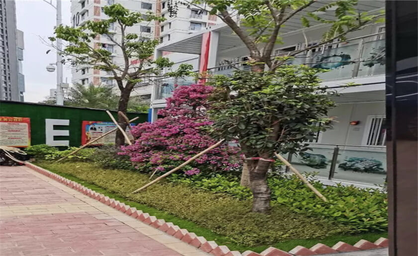 哈尔滨工业大学（深圳）